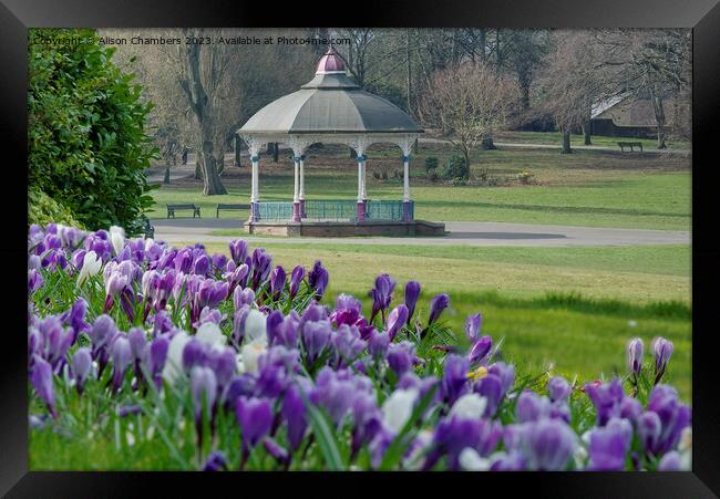 Locke Park Barnsley  Framed Print by Alison Chambers