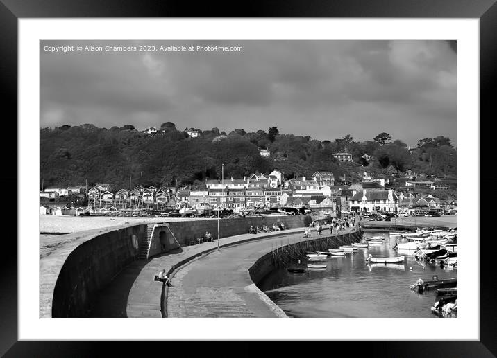 Lyme Regis The Cobb  Framed Mounted Print by Alison Chambers