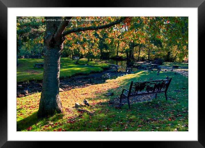 Low Bradfield in Autumn Framed Mounted Print by Alison Chambers