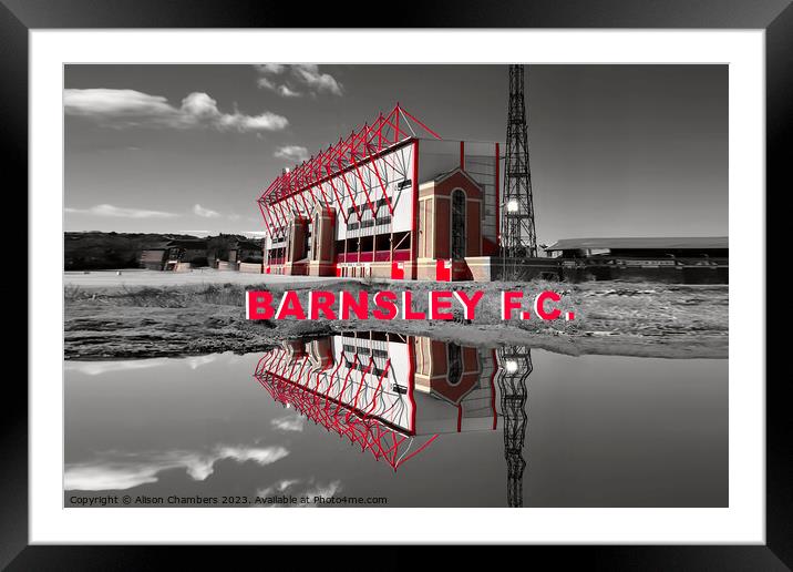 Barnsley Football Club Framed Mounted Print by Alison Chambers