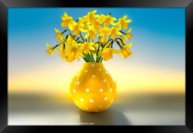 Vase Of Daffodils  Framed Print by Alison Chambers