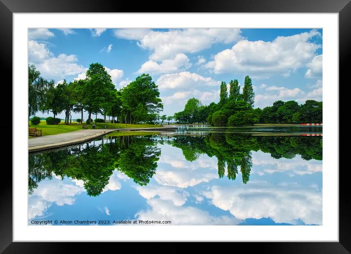 Pontefract Park Framed Mounted Print by Alison Chambers