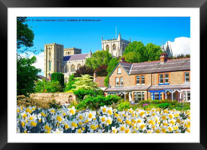 Springtime In Ripon Framed Mounted Print by Alison Chambers