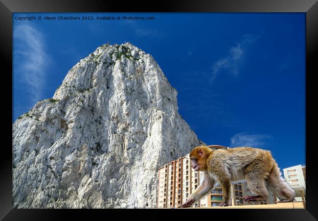 Rock Of Gibraltar  Framed Print by Alison Chambers