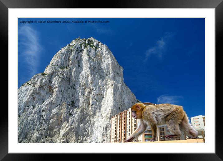 Rock Of Gibraltar  Framed Mounted Print by Alison Chambers