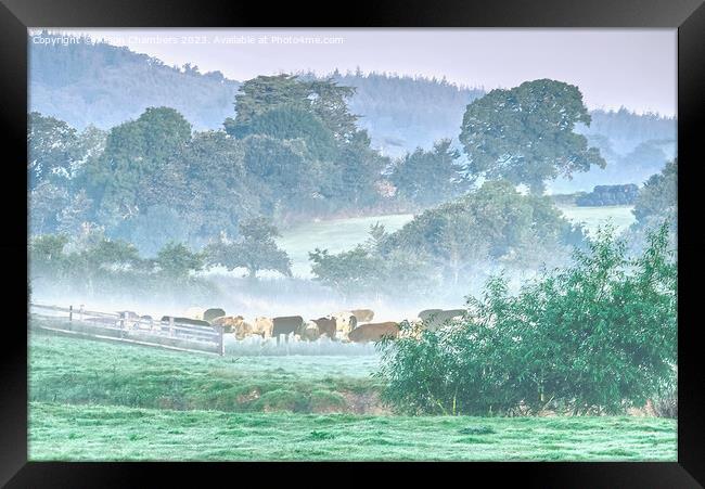 Devonshire Countryside  Framed Print by Alison Chambers