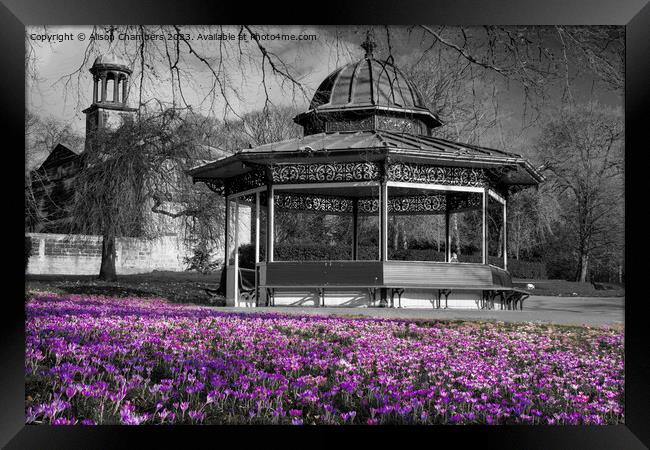 Roundhay Park Bandstand Framed Print by Alison Chambers