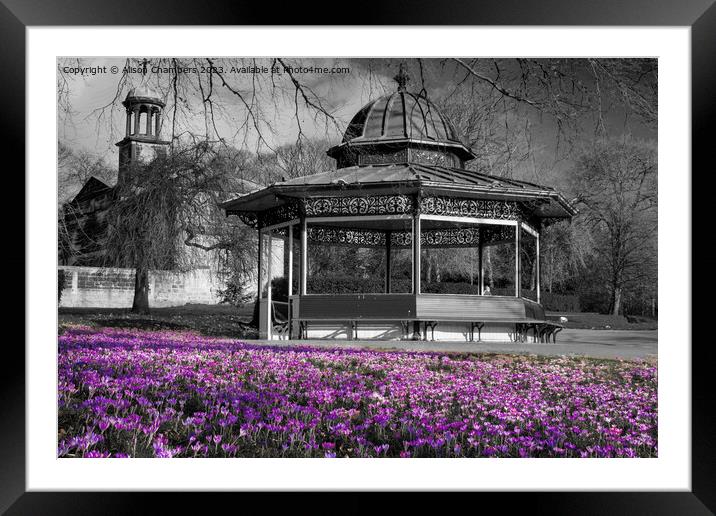 Roundhay Park Bandstand Framed Mounted Print by Alison Chambers