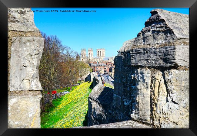 York Minster Framed Print by Alison Chambers