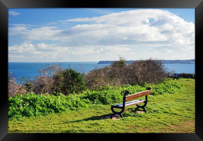 Daddyhole Plain Torquay Framed Print by Alison Chambers