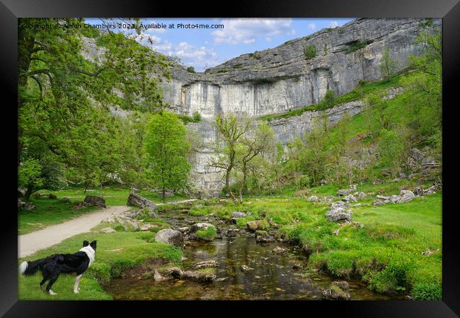 Dog Days Out At Malham Cove Framed Print by Alison Chambers