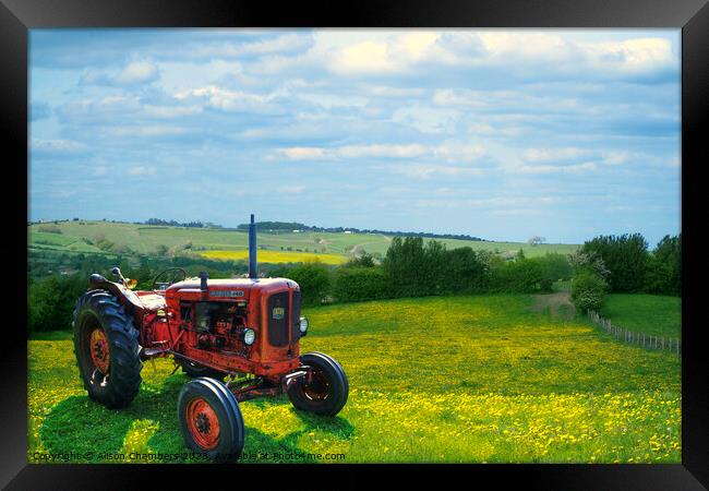 Nuffield Tractor Framed Print by Alison Chambers