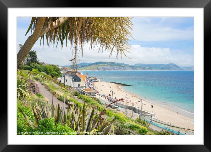 Lyme Regis View Framed Mounted Print by Alison Chambers