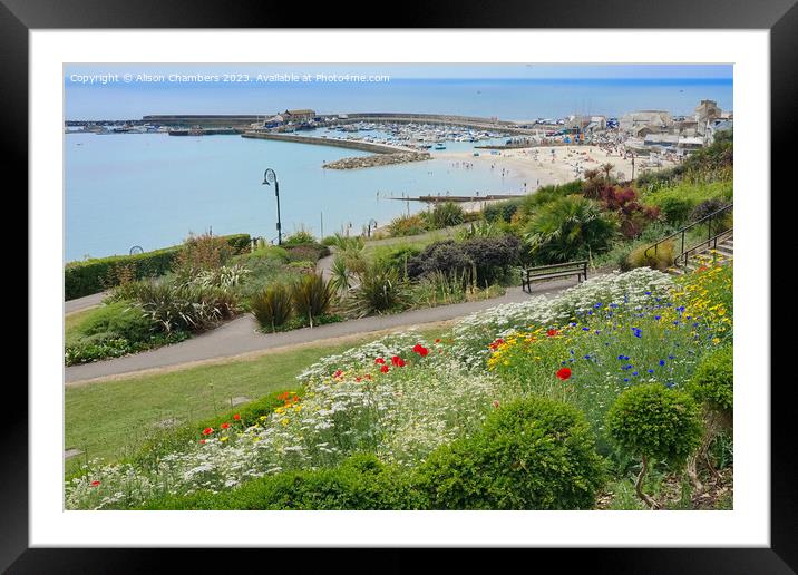 Lyme Regis Dorset Framed Mounted Print by Alison Chambers