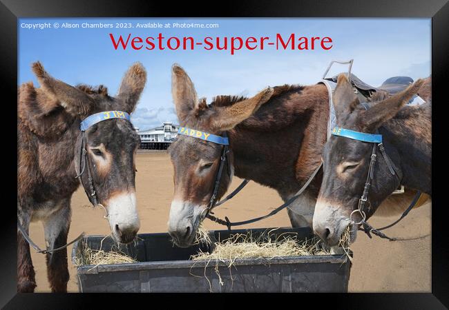 Weston super Mare Donkeys Framed Print by Alison Chambers
