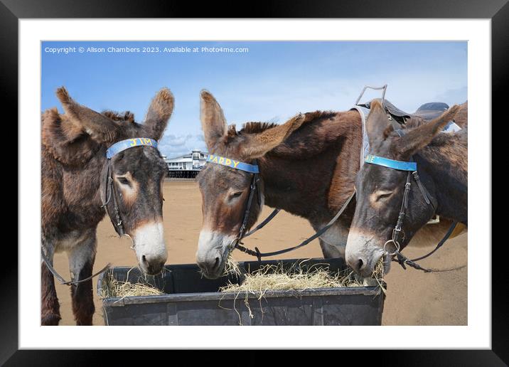 Weston super Mare Donkeys Framed Mounted Print by Alison Chambers