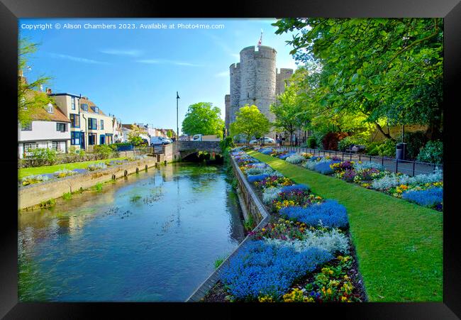 Canterbury River Stour Framed Print by Alison Chambers