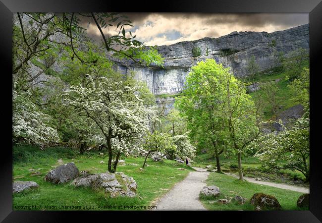 Malham Cove In The Spring  Framed Print by Alison Chambers