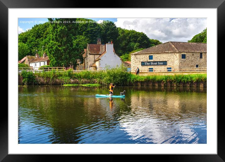 Dog Day Out At Sprotbrough Canal Doncaster Framed Mounted Print by Alison Chambers