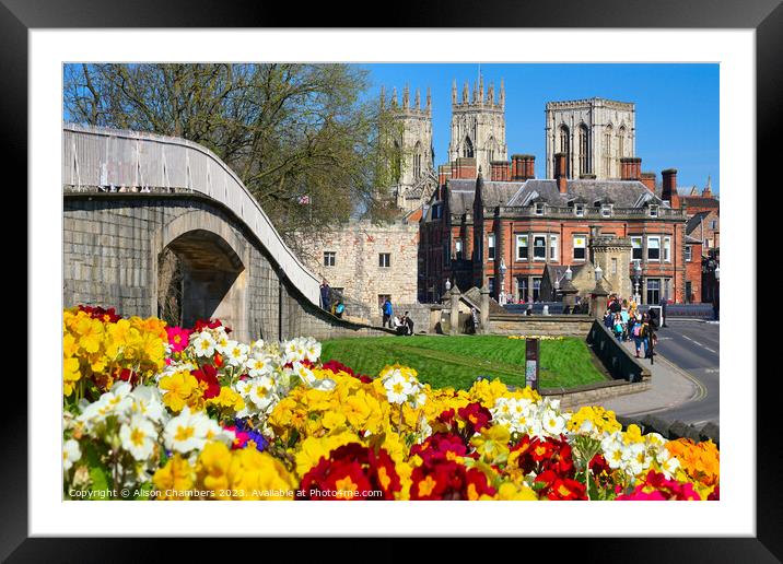 York Minster Cathedral  Framed Mounted Print by Alison Chambers