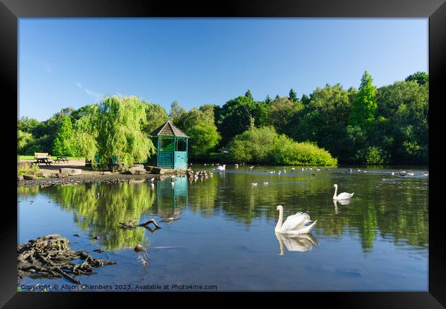 Golden Acre Park Leeds Framed Print by Alison Chambers