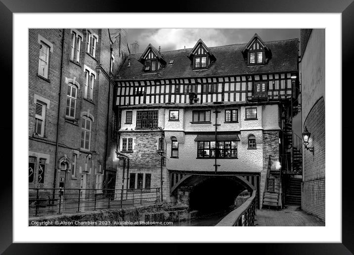 High Bridge Lincoln  Framed Mounted Print by Alison Chambers
