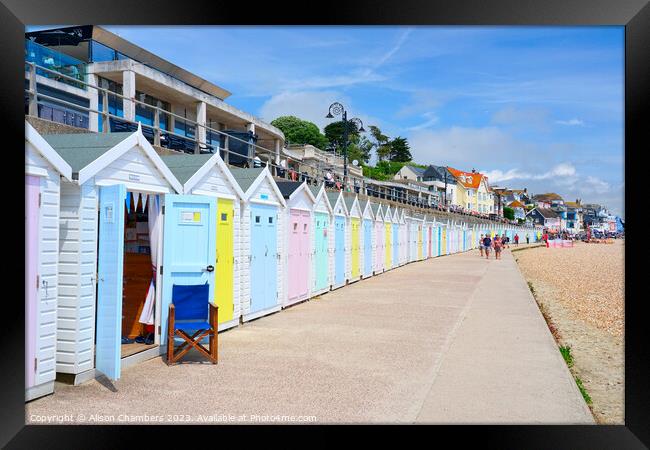 Lyme Regis Beach Huts Framed Print by Alison Chambers