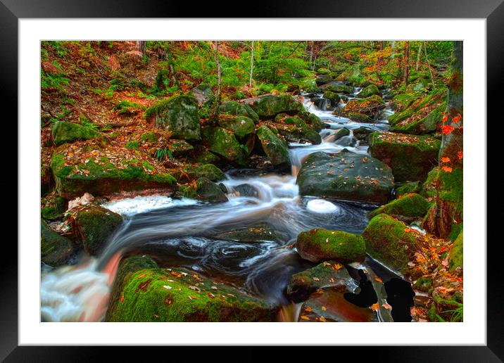 Padley Gorge Framed Mounted Print by Alison Chambers