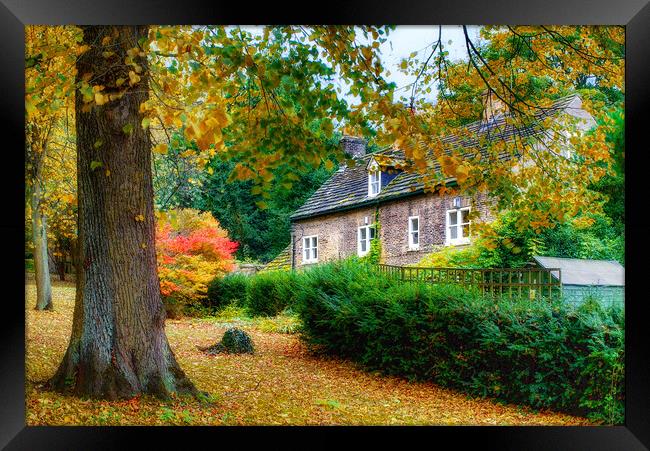 Autumn in Wentworth Village Framed Print by Alison Chambers