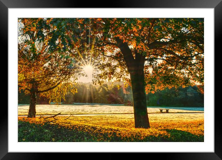 Autumn  Framed Mounted Print by Alison Chambers
