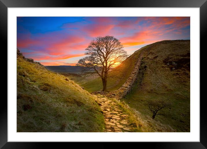 Sycamore Gap  Framed Mounted Print by Alison Chambers