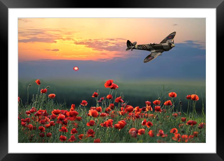 Spitfire Poppy Flight Framed Mounted Print by Alison Chambers