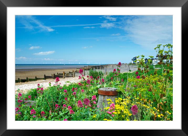 Whitstable Coastal Flowers Framed Mounted Print by Alison Chambers