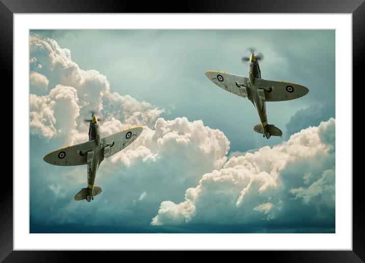 Graceful Spitfires Framed Mounted Print by Alison Chambers