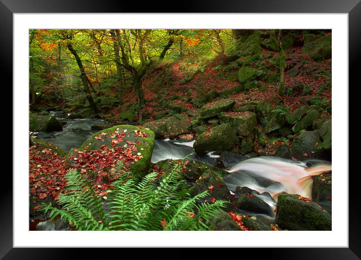 Padley Gorge Framed Mounted Print by Alison Chambers