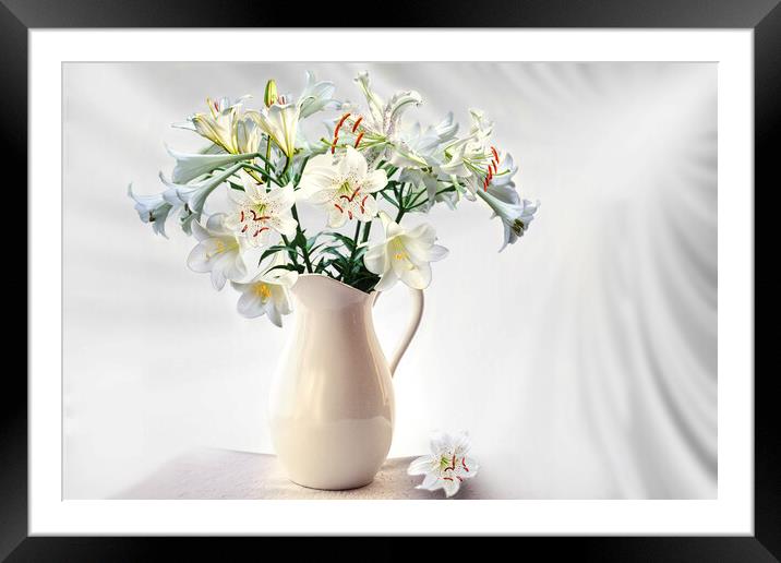 Lilies Framed Mounted Print by Alison Chambers
