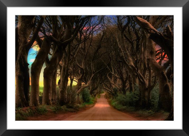 Dark Hedges  Framed Mounted Print by Alison Chambers