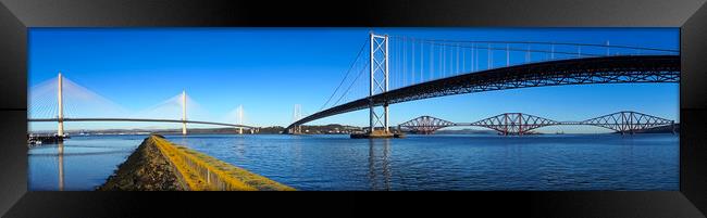 Forth Bridges Panorama  Framed Print by Alison Chambers