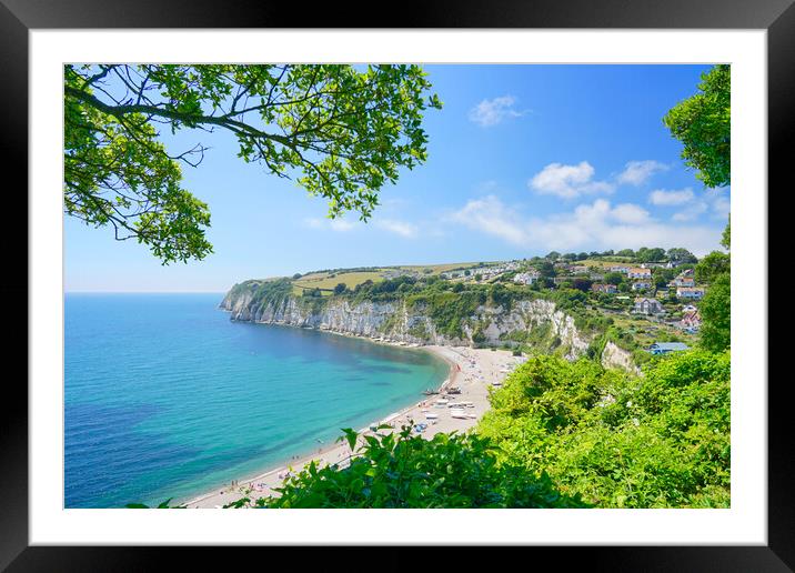 Devon Coastline View Framed Mounted Print by Alison Chambers
