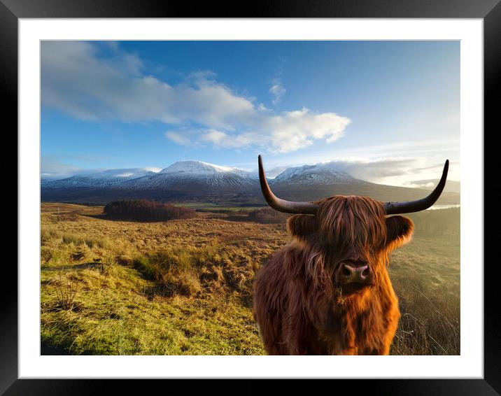 Highland Cow at Loch Tulla  Framed Mounted Print by Alison Chambers
