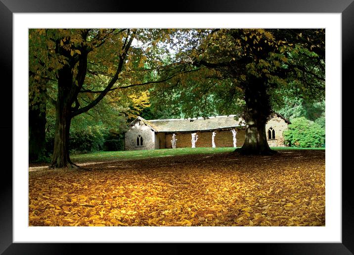 Cannon Hall Deer Shed Framed Mounted Print by Alison Chambers