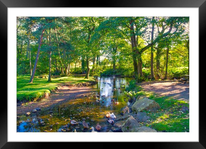 Low Bradfield Framed Mounted Print by Alison Chambers