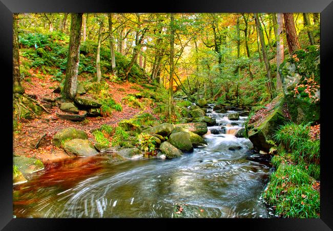 Padley Gorge Framed Print by Alison Chambers