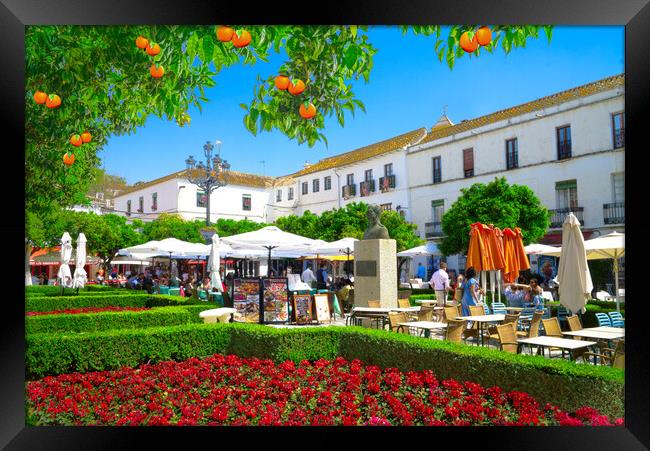 Orange Square Marbella Framed Print by Alison Chambers