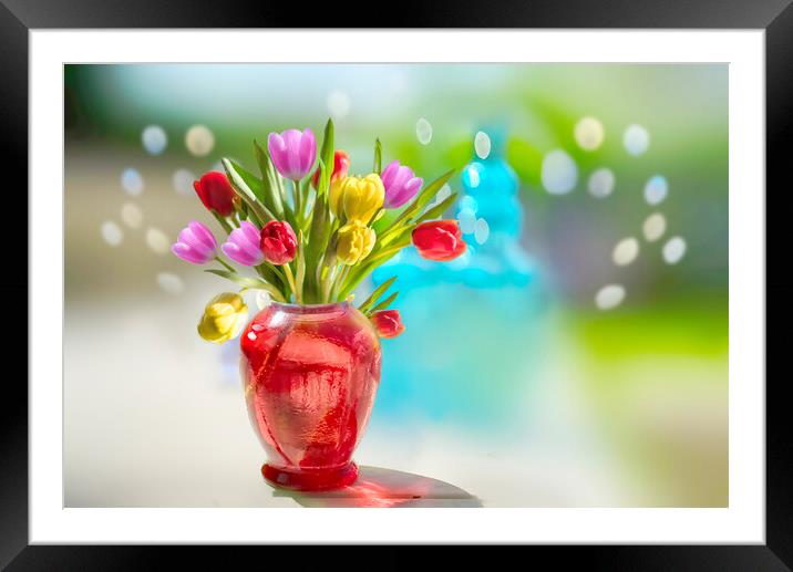 Tulips Framed Mounted Print by Alison Chambers