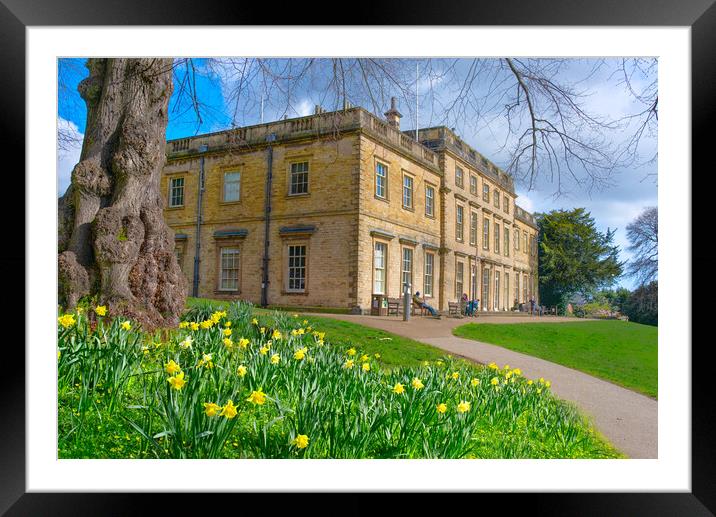 Cannon Hall Framed Mounted Print by Alison Chambers