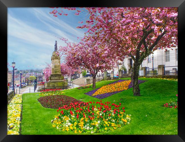 Barnsley In Bloom Framed Print by Alison Chambers