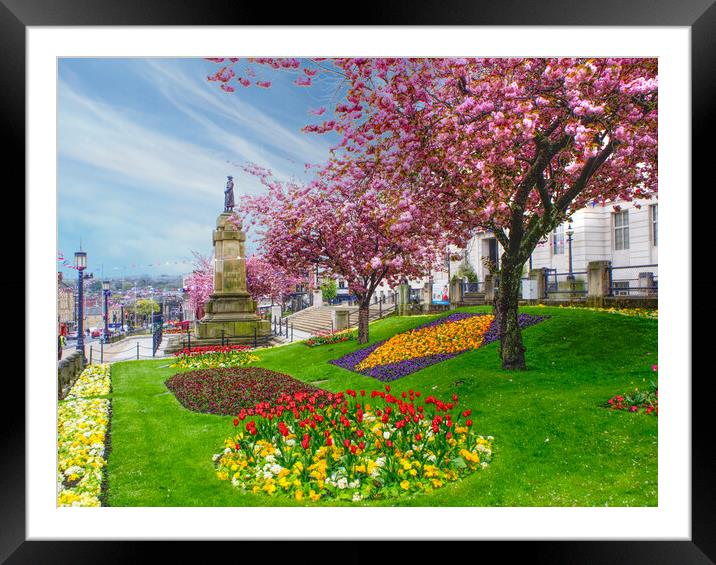 Barnsley In Bloom Framed Mounted Print by Alison Chambers