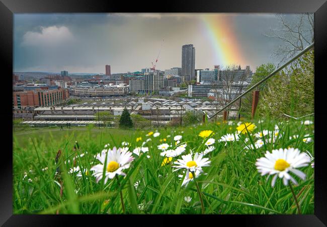 Sheffield Springtime Cityscape Framed Print by Alison Chambers