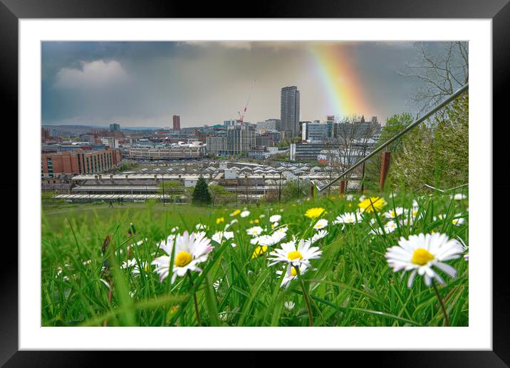 Sheffield Springtime Cityscape Framed Mounted Print by Alison Chambers